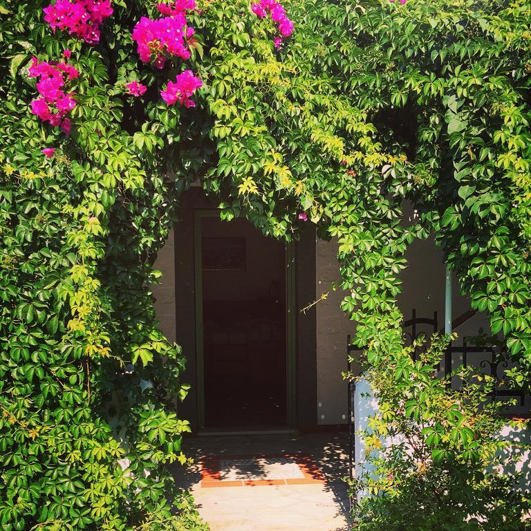 Patmos Villas Grikos Bay  Extérieur photo