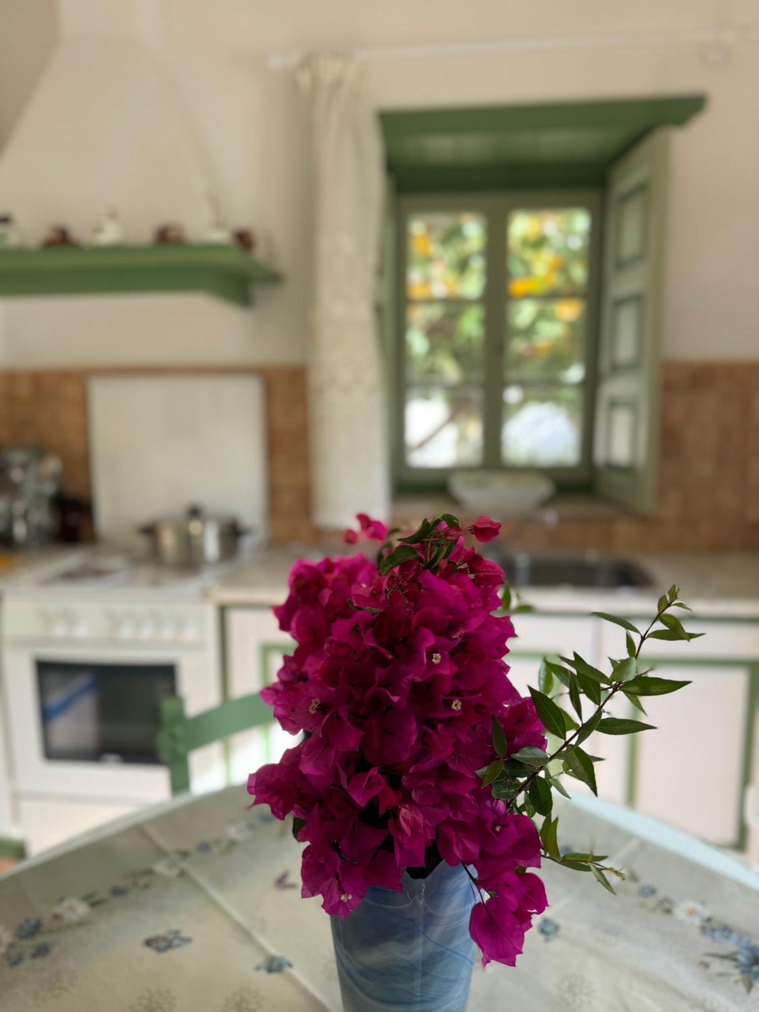 Patmos Villas Grikos Bay  Extérieur photo